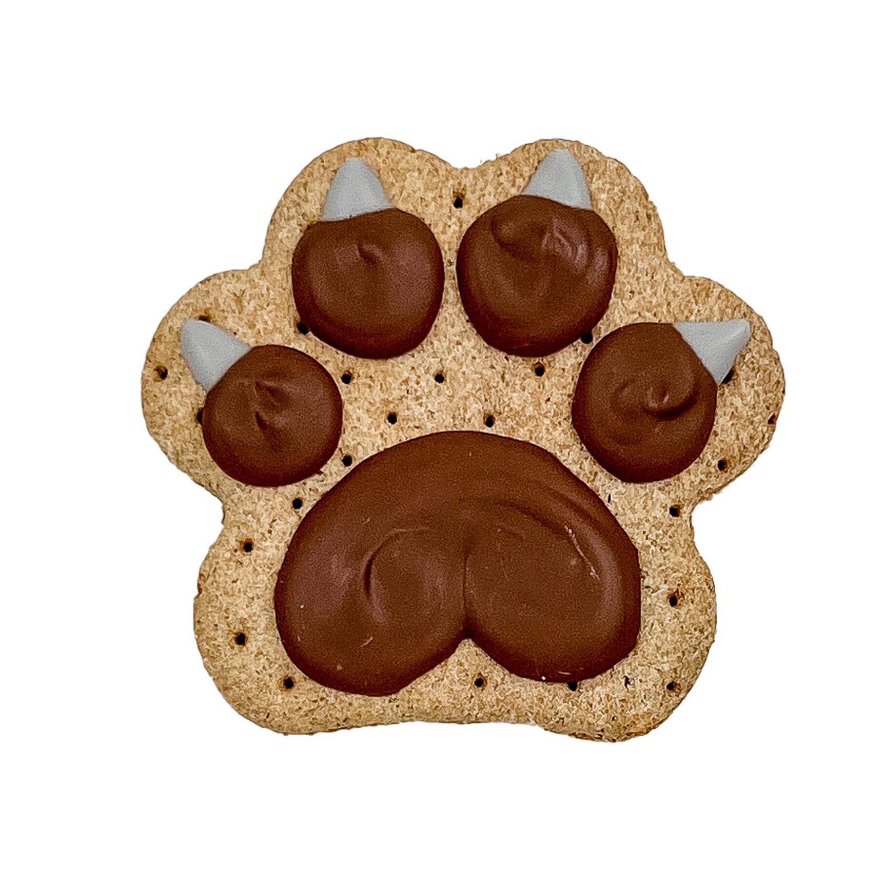 bear paw dog cookie