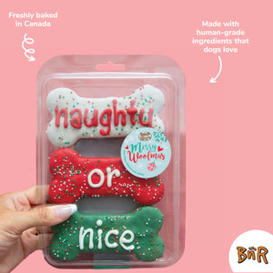 Prepackaged Naughty or Nice Bones 3pk | Holiday 2024