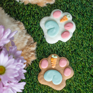 Carrot Patch Paws | Easter