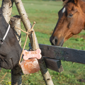 Go Lick Salt 6" Bone | Horse