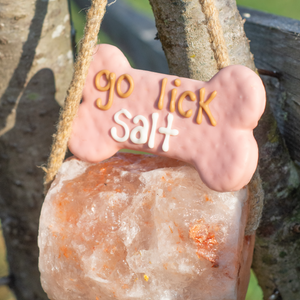 Go Lick Salt 6" Bone | Horse