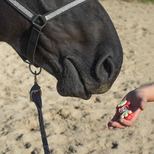 Peppermint Flavoured Swirl Candies | Horse