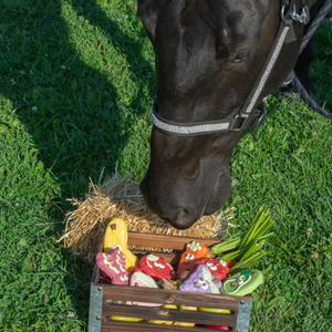 Whinny the Watermelon Slice | Horse