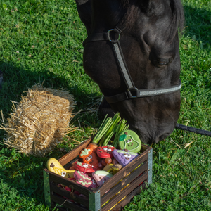 Straw-Berries | Horse