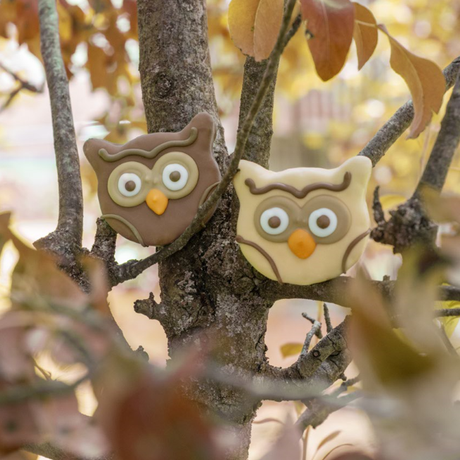 owls in a tree cookies for dogs