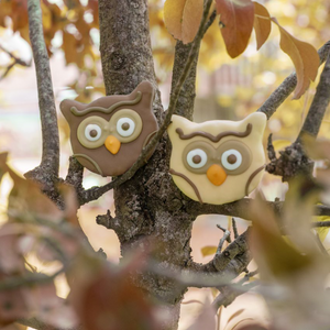 owls in a tree cookies for dogs