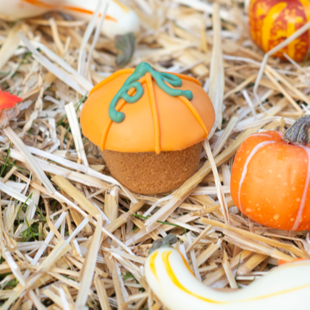 fall pupcake for dogs