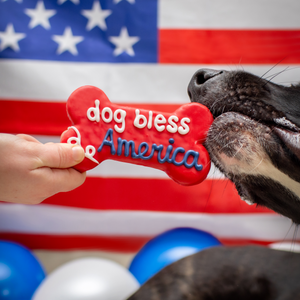 Dog Bless America 6 Inch Bone | 4th of July