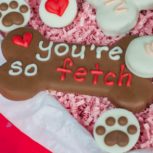 You're So Fetch | Love Your Pooch