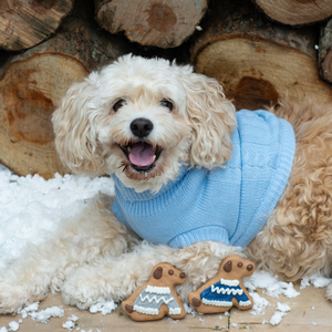 Sweater Pups | Winter Wonderland